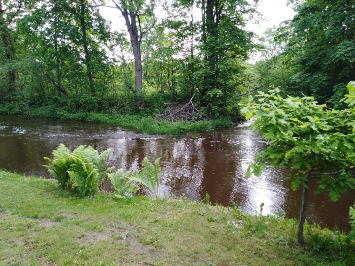 Mustvee Creek Cottage Экстерьер фото